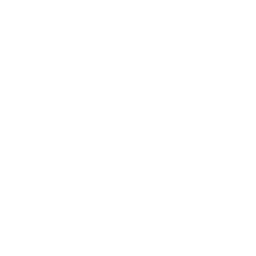 Backyard Party